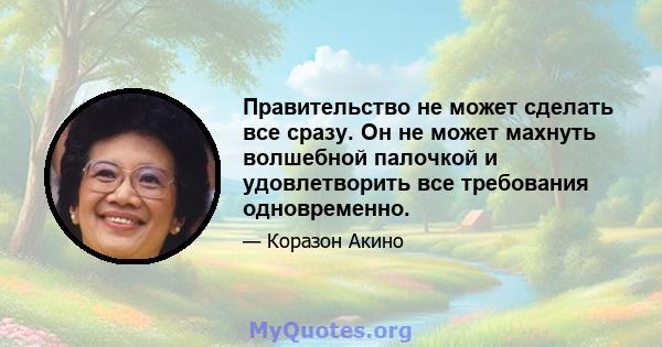 Правительство не может сделать все сразу. Он не может махнуть волшебной палочкой и удовлетворить все требования одновременно.