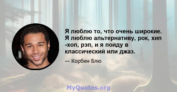 Я люблю то, что очень широкие. Я люблю альтернативу, рок, хип -хоп, рэп, и я пойду в классический или джаз.