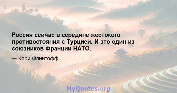 Россия сейчас в середине жестокого противостояния с Турцией. И это один из союзников Франции НАТО.