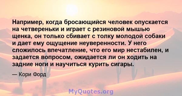 Например, когда бросающийся человек опускается на четвереньки и играет с резиновой мышью щенка, он только сбивает с толку молодой собаки и дает ему ощущение неуверенности. У него сложилось впечатление, что его мир