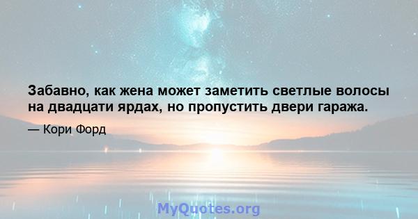 Забавно, как жена может заметить светлые волосы на двадцати ярдах, но пропустить двери гаража.