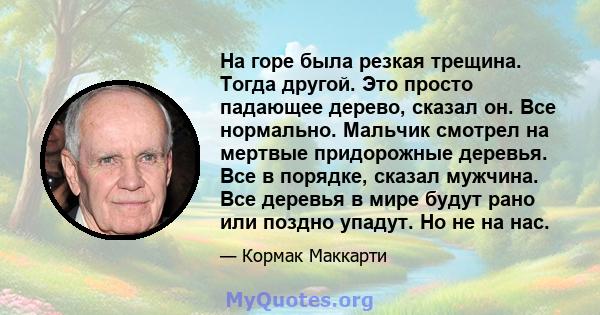 На горе была резкая трещина. Тогда другой. Это просто падающее дерево, сказал он. Все нормально. Мальчик смотрел на мертвые придорожные деревья. Все в порядке, сказал мужчина. Все деревья в мире будут рано или поздно