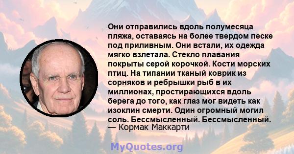 Они отправились вдоль полумесяца пляжа, оставаясь на более твердом песке под приливным. Они встали, их одежда мягко взлетала. Стекло плавания покрыты серой корочкой. Кости морских птиц. На типании тканый коврик из