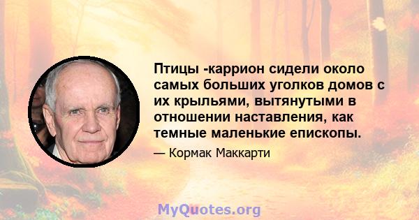 Птицы -каррион сидели около самых больших уголков домов с их крыльями, вытянутыми в отношении наставления, как темные маленькие епископы.