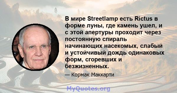 В мире Streetlamp есть Rictus в форме луны, где камень ушел, и с этой апертуры проходит через постоянную спираль начинающих насекомых, слабый и устойчивый дождь одинаковых форм, сгоревших и безжизненных.