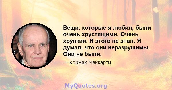 Вещи, которые я любил, были очень хрустящими. Очень хрупкий. Я этого не знал. Я думал, что они неразрушимы. Они не были.