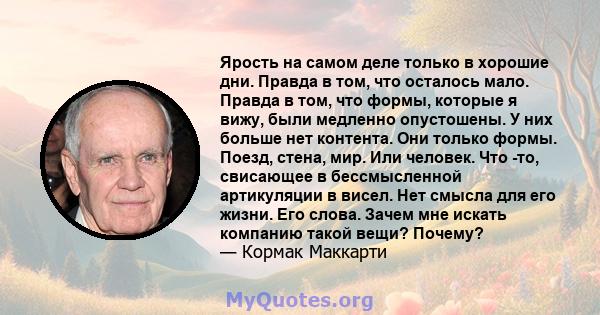 Ярость на самом деле только в хорошие дни. Правда в том, что осталось мало. Правда в том, что формы, которые я вижу, были медленно опустошены. У них больше нет контента. Они только формы. Поезд, стена, мир. Или человек. 