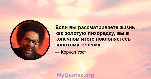 Если вы рассматриваете жизнь как золотую лихорадку, вы в конечном итоге поклоняетесь золотому теленку.