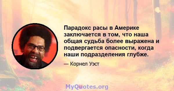 Парадокс расы в Америке заключается в том, что наша общая судьба более выражена и подвергается опасности, когда наши подразделения глубже.