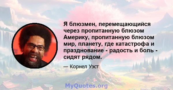 Я блюзмен, перемещающийся через пропитанную блюзом Америку, пропитанную блюзом мир, планету, где катастрофа и празднование - радость и боль - сидят рядом.