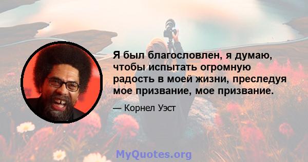 Я был благословлен, я думаю, чтобы испытать огромную радость в моей жизни, преследуя мое призвание, мое призвание.