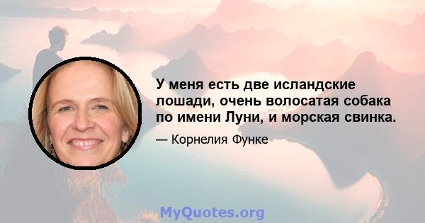 У меня есть две исландские лошади, очень волосатая собака по имени Луни, и морская свинка.