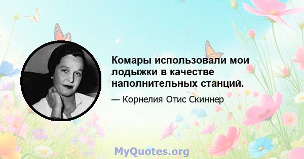 Комары использовали мои лодыжки в качестве наполнительных станций.