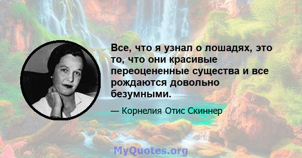 Все, что я узнал о лошадях, это то, что они красивые переоцененные существа и все рождаются довольно безумными.