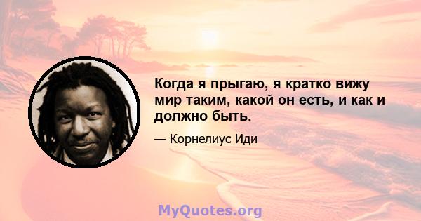 Когда я прыгаю, я кратко вижу мир таким, какой он есть, и как и должно быть.