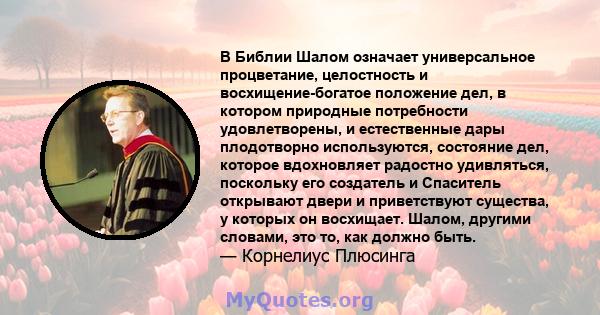 В Библии Шалом означает универсальное процветание, целостность и восхищение-богатое положение дел, в котором природные потребности удовлетворены, и естественные дары плодотворно используются, состояние дел, которое