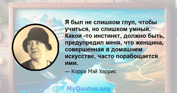 Я был не слишком глуп, чтобы учиться, но слишком умный. Какой -то инстинкт, должно быть, предупредил меня, что женщина, совершенная в домашнем искусстве, часто порабощается ими.