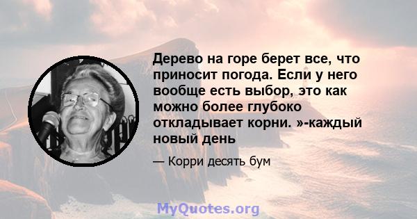 Дерево на горе берет все, что приносит погода. Если у него вообще есть выбор, это как можно более глубоко откладывает корни. »-каждый новый день