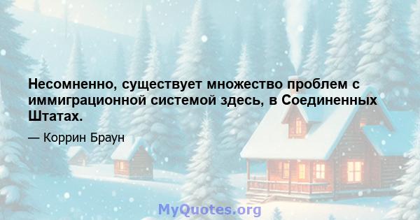 Несомненно, существует множество проблем с иммиграционной системой здесь, в Соединенных Штатах.