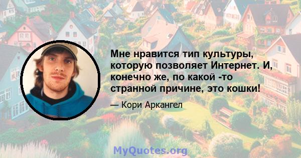 Мне нравится тип культуры, которую позволяет Интернет. И, конечно же, по какой -то странной причине, это кошки!