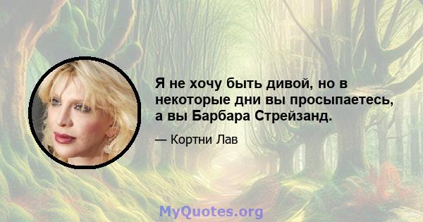 Я не хочу быть дивой, но в некоторые дни вы просыпаетесь, а вы Барбара Стрейзанд.