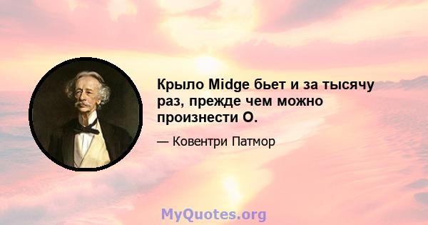 Крыло Midge бьет и за тысячу раз, прежде чем можно произнести О.