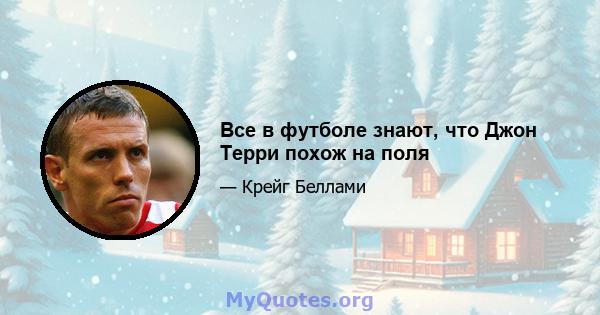 Все в футболе знают, что Джон Терри похож на поля