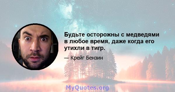 Будьте осторожны с медведями в любое время, даже когда его утихли в тигр.