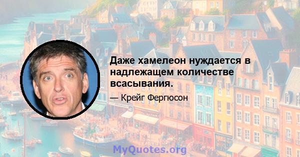 Даже хамелеон нуждается в надлежащем количестве всасывания.