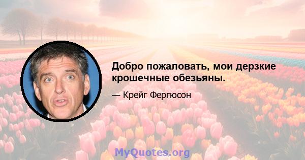 Добро пожаловать, мои дерзкие крошечные обезьяны.