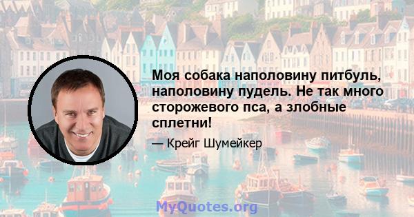 Моя собака наполовину питбуль, наполовину пудель. Не так много сторожевого пса, а злобные сплетни!