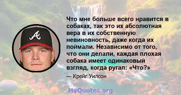 Что мне больше всего нравится в собаках, так это их абсолютная вера в их собственную невиновность, даже когда их поймали. Независимо от того, что они делали, каждая плохая собака имеет одинаковый взгляд, когда ругал: