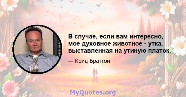 В случае, если вам интересно, мое духовное животное - утка, выставленная на утиную платок.