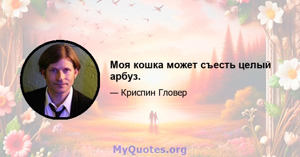 Моя кошка может съесть целый арбуз.