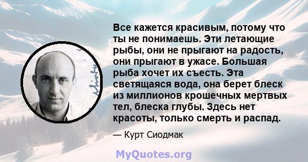 Все кажется красивым, потому что ты не понимаешь. Эти летающие рыбы, они не прыгают на радость, они прыгают в ужасе. Большая рыба хочет их съесть. Эта светящаяся вода, она берет блеск из миллионов крошечных мертвых тел, 