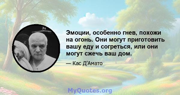 Эмоции, особенно гнев, похожи на огонь. Они могут приготовить вашу еду и согреться, или они могут сжечь ваш дом.