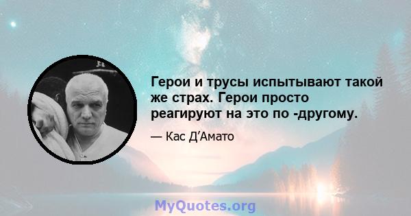 Герои и трусы испытывают такой же страх. Герои просто реагируют на это по -другому.