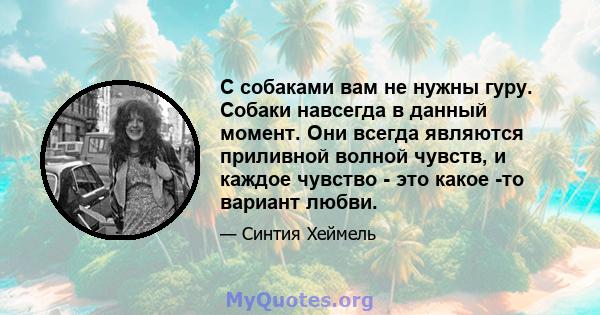 С собаками вам не нужны гуру. Собаки навсегда в данный момент. Они всегда являются приливной волной чувств, и каждое чувство - это какое -то вариант любви.