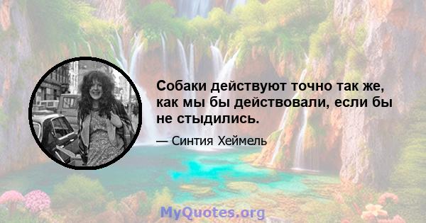 Собаки действуют точно так же, как мы бы действовали, если бы не стыдились.