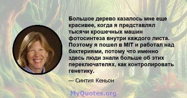 Большое дерево казалось мне еще красивее, когда я представлял тысячи крошечных машин фотосинтеза внутри каждого листа. Поэтому я пошел в MIT и работал над бактериями, потому что именно здесь люди знали больше об этих