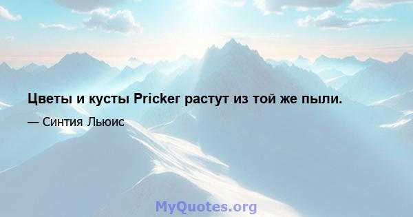 Цветы и кусты Pricker растут из той же пыли.