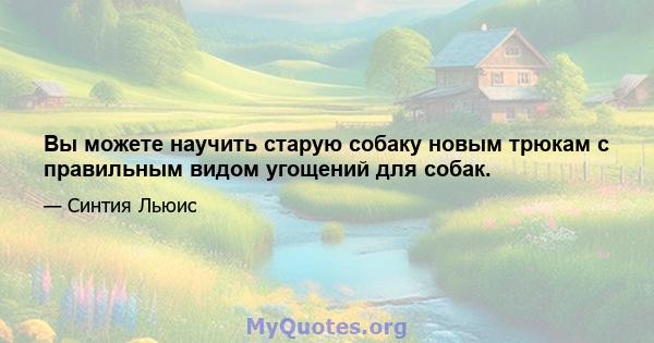 Вы можете научить старую собаку новым трюкам с правильным видом угощений для собак.