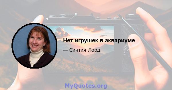 Нет игрушек в аквариуме