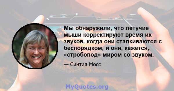 Мы обнаружили, что летучие мыши корректируют время их звуков, когда они сталкиваются с беспорядком, и они, кажется, «стробопод» миром со звуком.