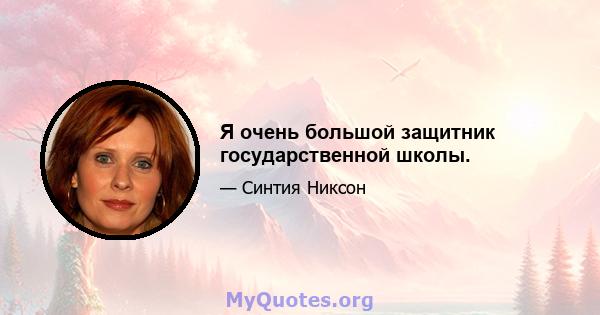 Я очень большой защитник государственной школы.