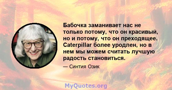 Бабочка заманивает нас не только потому, что он красивый, но и потому, что он преходящее. Caterpillar более уродлен, но в нем мы можем считать лучшую радость становиться.