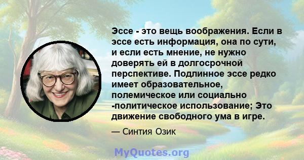 Эссе - это вещь воображения. Если в эссе есть информация, она по сути, и если есть мнение, не нужно доверять ей в долгосрочной перспективе. Подлинное эссе редко имеет образовательное, полемическое или социально