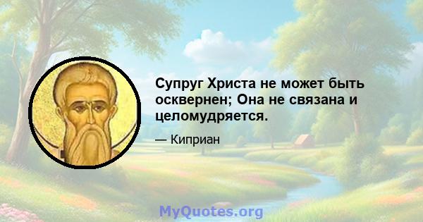 Супруг Христа не может быть осквернен; Она не связана и целомудряется.