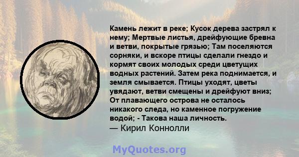 Камень лежит в реке; Кусок дерева застрял к нему; Мертвые листья, дрейфующие бревна и ветви, покрытые грязью; Там поселяются сорняки, и вскоре птицы сделали гнездо и кормят своих молодых среди цветущих водных растений.