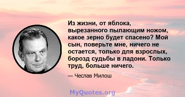 Из жизни, от яблока, вырезанного пылающим ножом, какое зерно будет спасено? Мой сын, поверьте мне, ничего не остается, только для взрослых, борозд судьбы в ладони. Только труд, больше ничего.